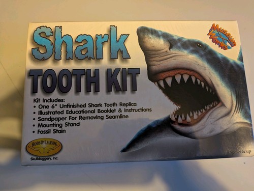 Museum works shark tooth kit - -,