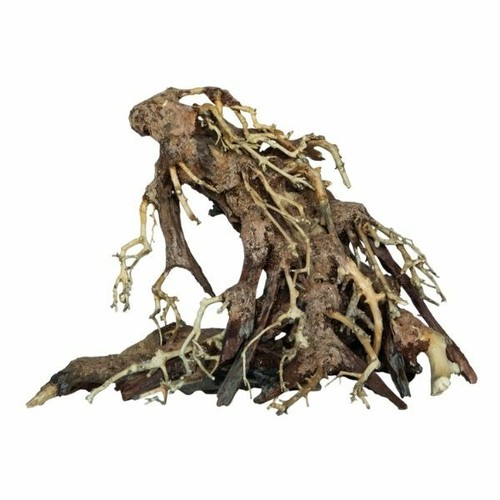 Superfish bonsai tree - tree, root