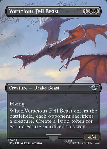 Mtg lotr borderless - mtg, nm