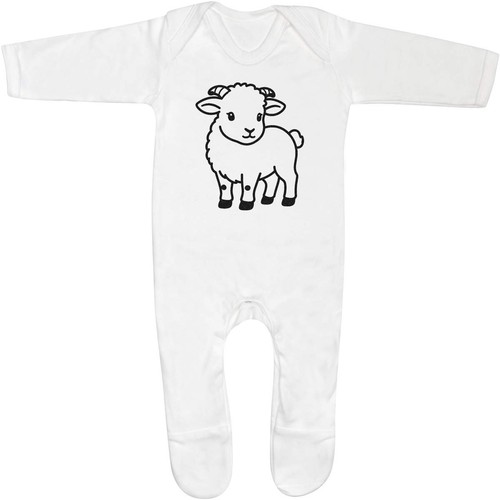 Dorset horn lamb baby - 'dorset,