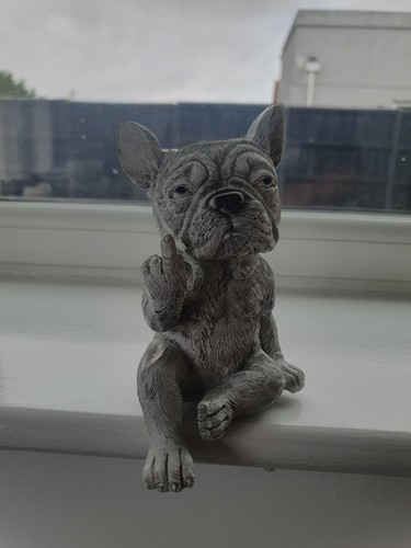 French bulldog plant pot - plant,