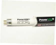 Eye Lighting International