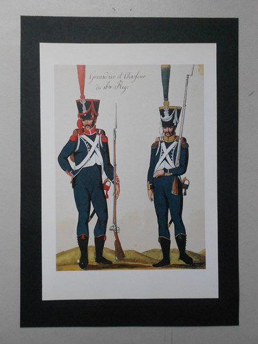 Napoleon soldiers print - napoleon's,