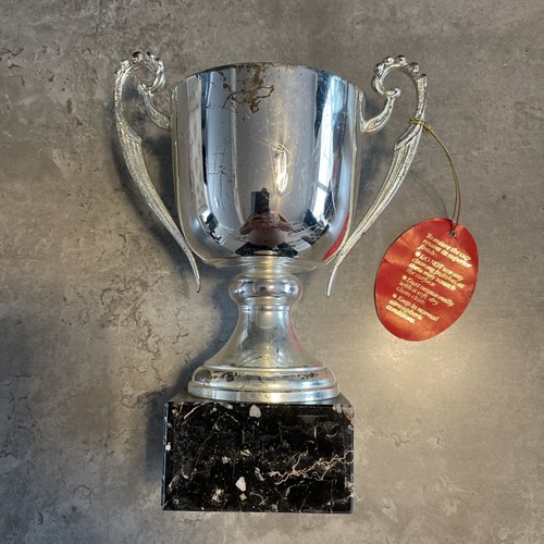 Silver metal sports trophy - metal, |