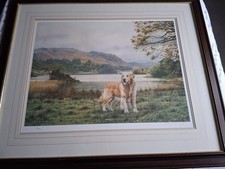 Steven Townsend Casper Limited