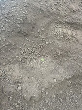 Quality Screened Topsoil