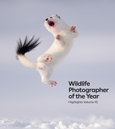 Wildlife photographer the - photographer, of