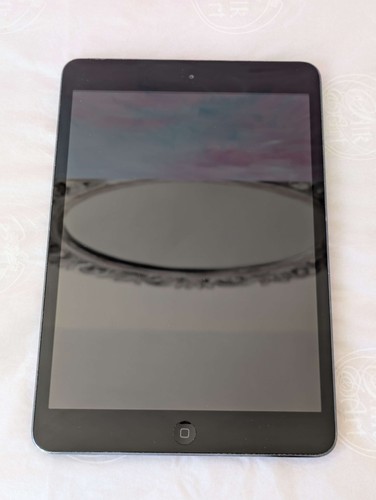 Apple ipad mini - apple,