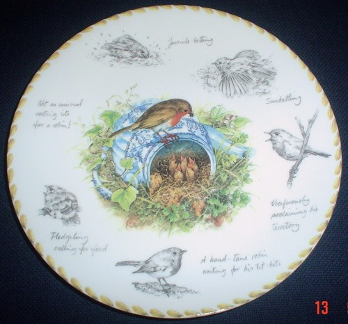Wedgwood danbury mint - mint, robin
