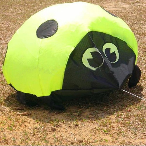 Ladybird kite entertainment - 3d,