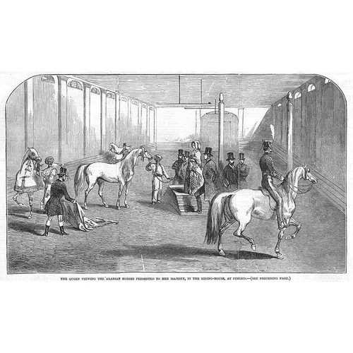 The queen viewing - the, arabian