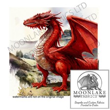 Welsh Dragon on Brecon Beacons