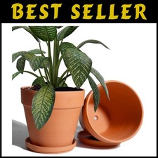 Breathable Clay Planters - 8