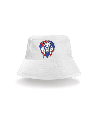 England lion world cup - lion,