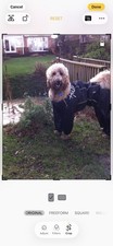 Black Hurtta OUTDOOR OVERALL