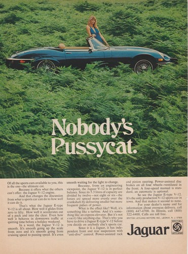 1974 jaguar type - jaguar,