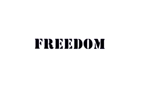 Freedom car van bumper - ev,