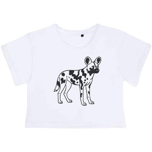 African wild dog adult - 'african, dog'