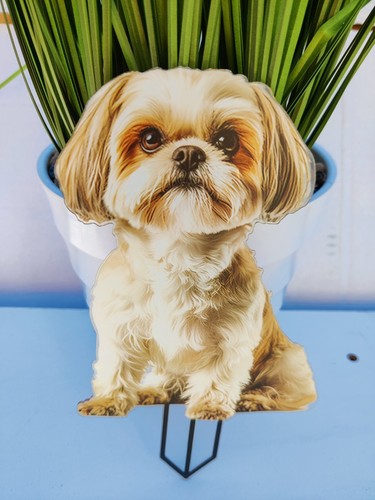 Sitting shih tzu acrylic - shih,