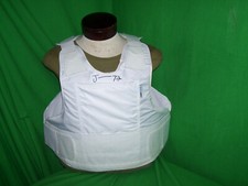 Armor Express Armor Bullet