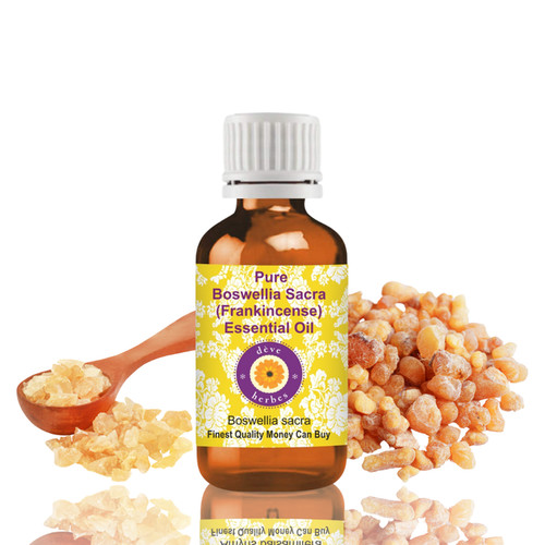 Boswellia sacra - sacra, (frankincense)