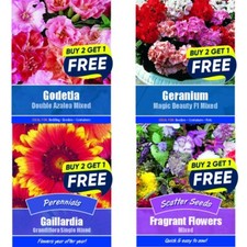 Flower Seeds Plants Baskets