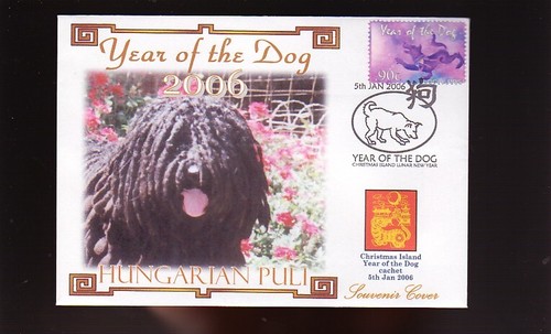 Hungarian puli 2006 year - puli,