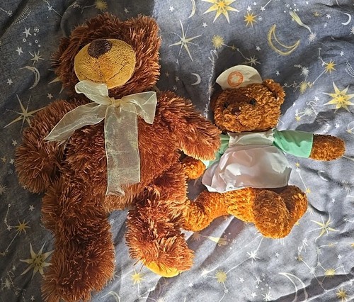 Brown teddy bears cute - bears, soft