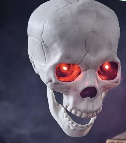 Animated skeleton skull - skeleton,