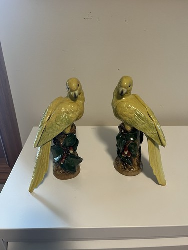 Jeanne reed yellow - reed, parrot
