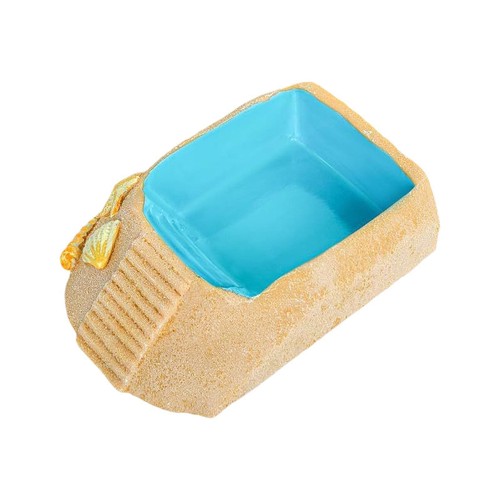 Hermit water bowl reptile - water,