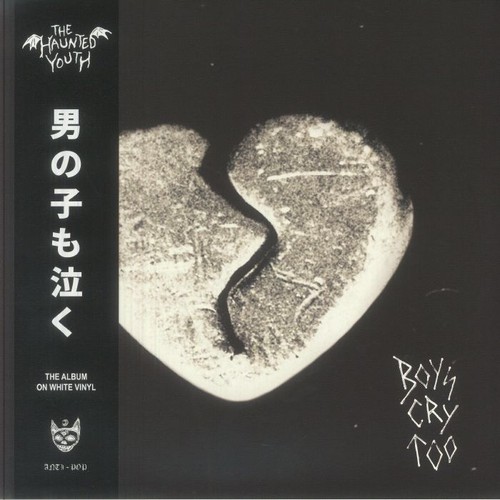 Haunted youth the boys cry - haunted,