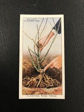 1938 Wills's Garden Hints #22