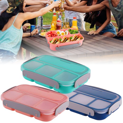 Bento box lunch for - lunch,