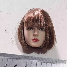 FS73036 1/6 Scale Head Model