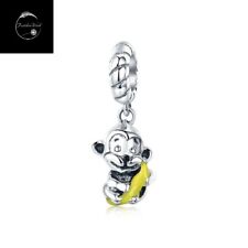 Sterling Silver 925 Charm