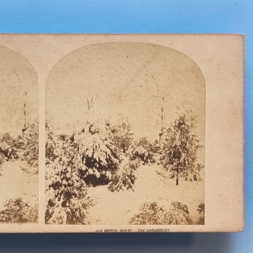 Stereoview card real - 3d,