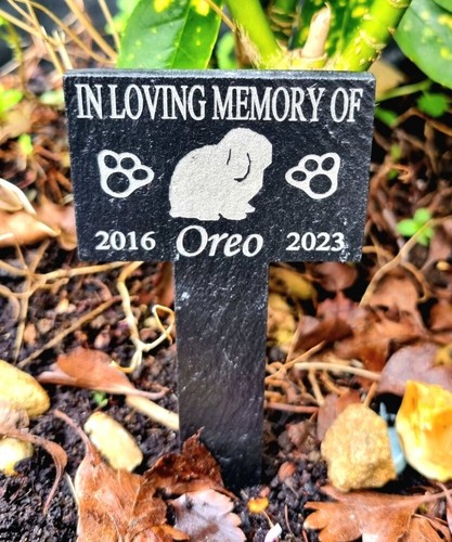 Personalised rabbit pet - personalised,