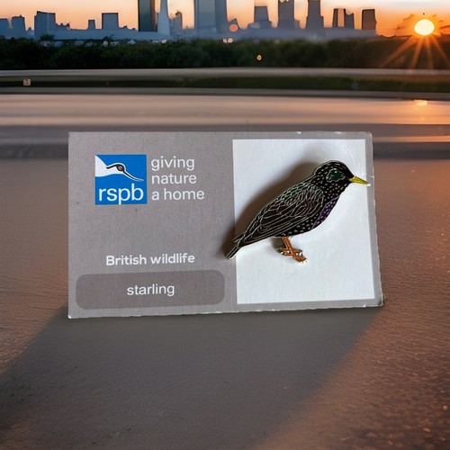 Rspb pin badge gnah - rspb-pin,