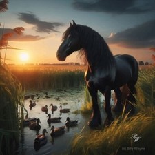 Tennessee Walking Horse