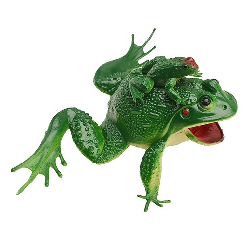 Simulation frog toy - frog,