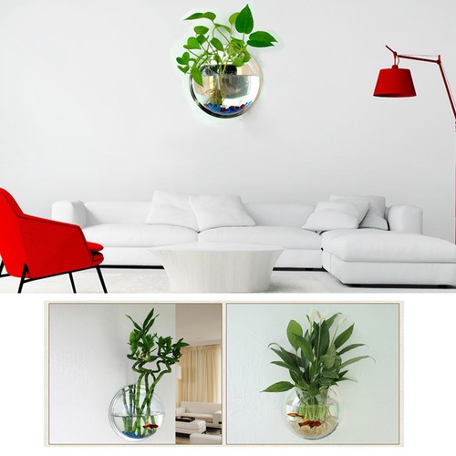 Home decoration wall - wall, mount