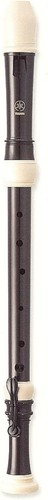 Yamaha abs recorder tenor - abs,