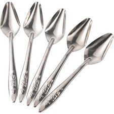 5Pcs Baby Parrot Feeding Spoon