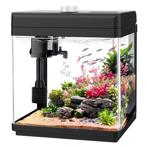 Aqqa aquarium starter - aqqa,