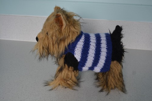 Hand knitted dog - xs,