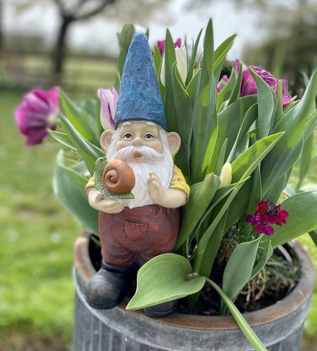 Garden gnomes outdoor - gnomes,