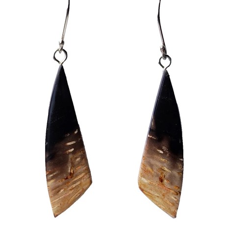 Fossil palm root - fossil, earrings