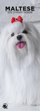 Maltese Dog 2026 Slim Calendars