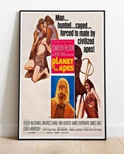 Planet Of The Apes / Photo /